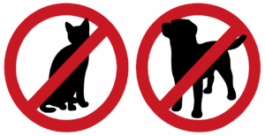 no domestic animals