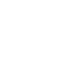 bird icon