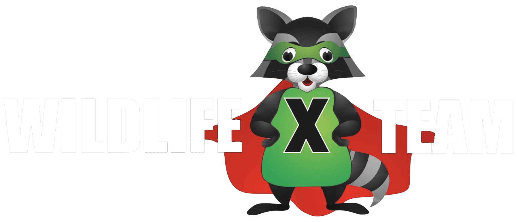Wildlife X Team